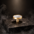 Prisma Acrylic & Brass Disc Cabinet Knob | Luxury Cabinet Hardware India