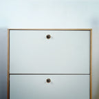 Prisma Acrylic & Brass Disc Cabinet Knob | Luxury Cabinet Hardware India