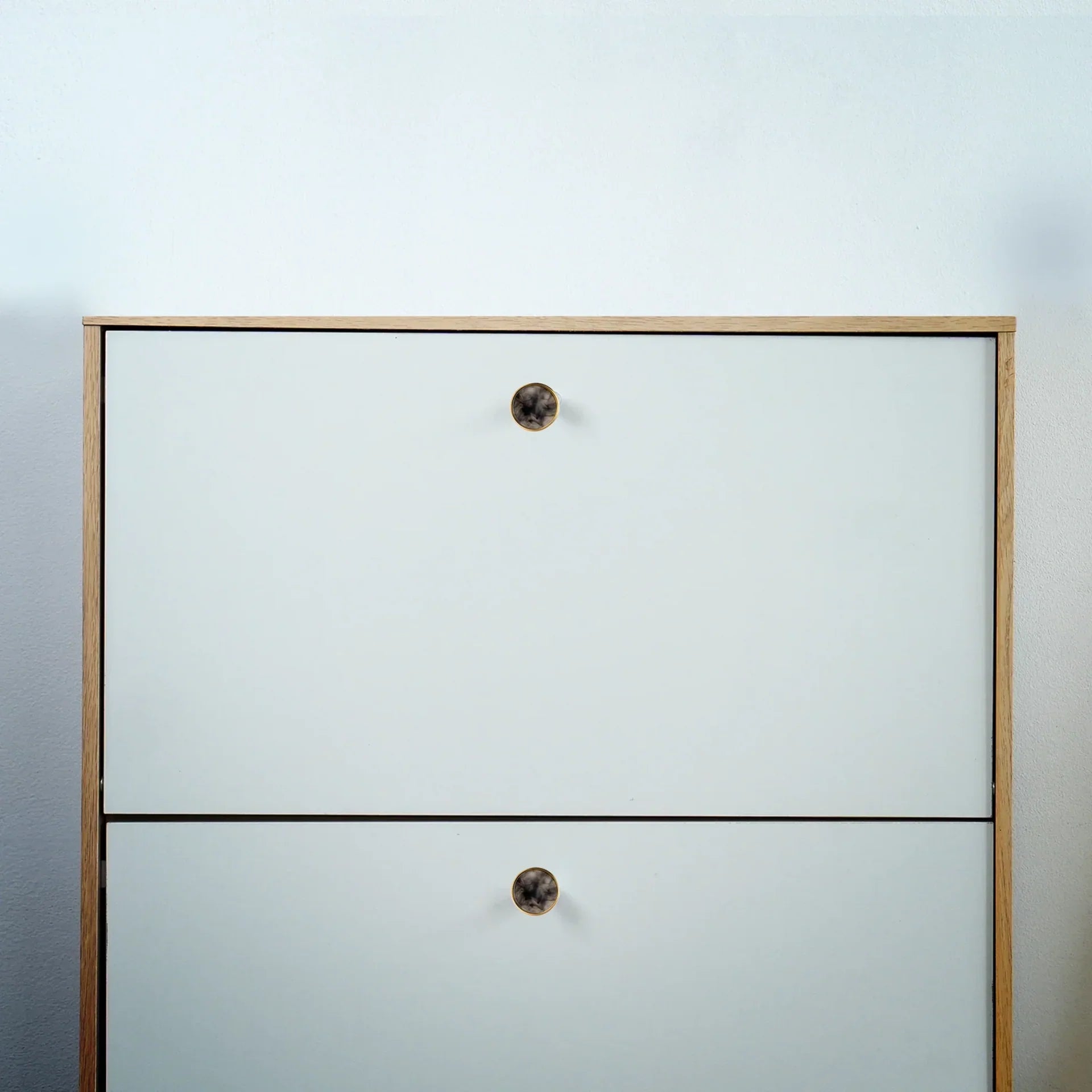 Prisma Acrylic & Brass Disc Cabinet Knob | Luxury Cabinet Hardware India