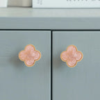 Clover Acrylic Brass Cabinet Knob | Brass Essence India