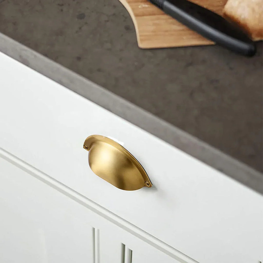 Classic Solid Brass Shell Pull Handle | Brass Essence India