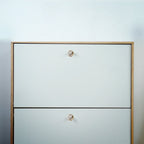 Prisma Acrylic & Brass Disc Cabinet Knob | Luxury Cabinet Hardware India