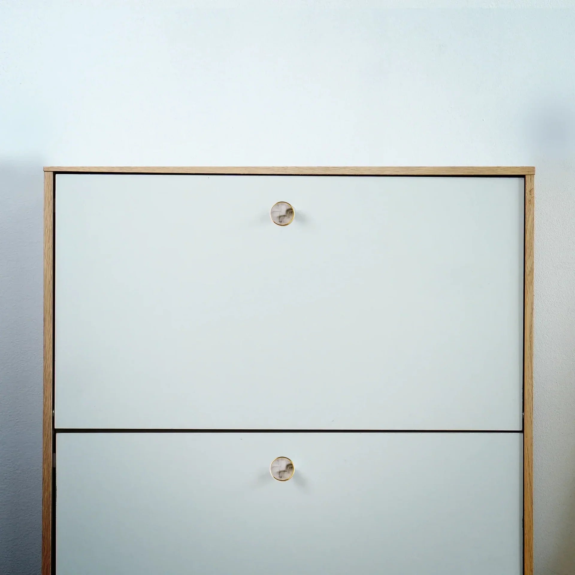 Prisma Acrylic & Brass Disc Cabinet Knob | Luxury Cabinet Hardware India