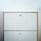 Prisma Acrylic & Brass Disc Cabinet Knob | Luxury Cabinet Hardware India