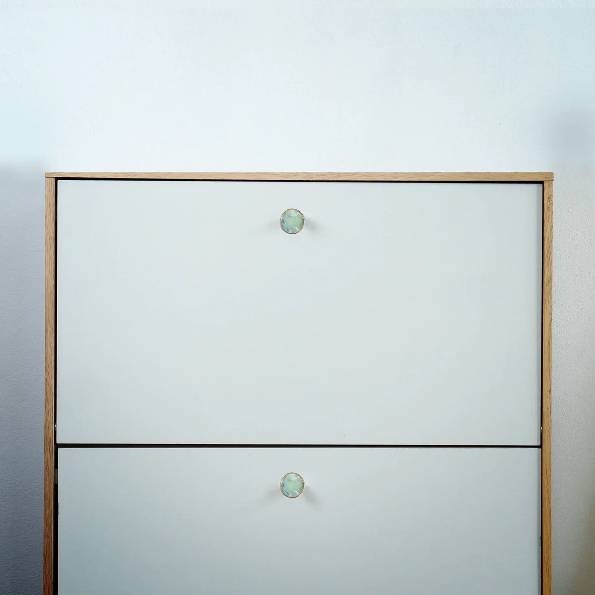 Prisma Acrylic & Brass Disc Cabinet Knob | Luxury Cabinet Hardware India