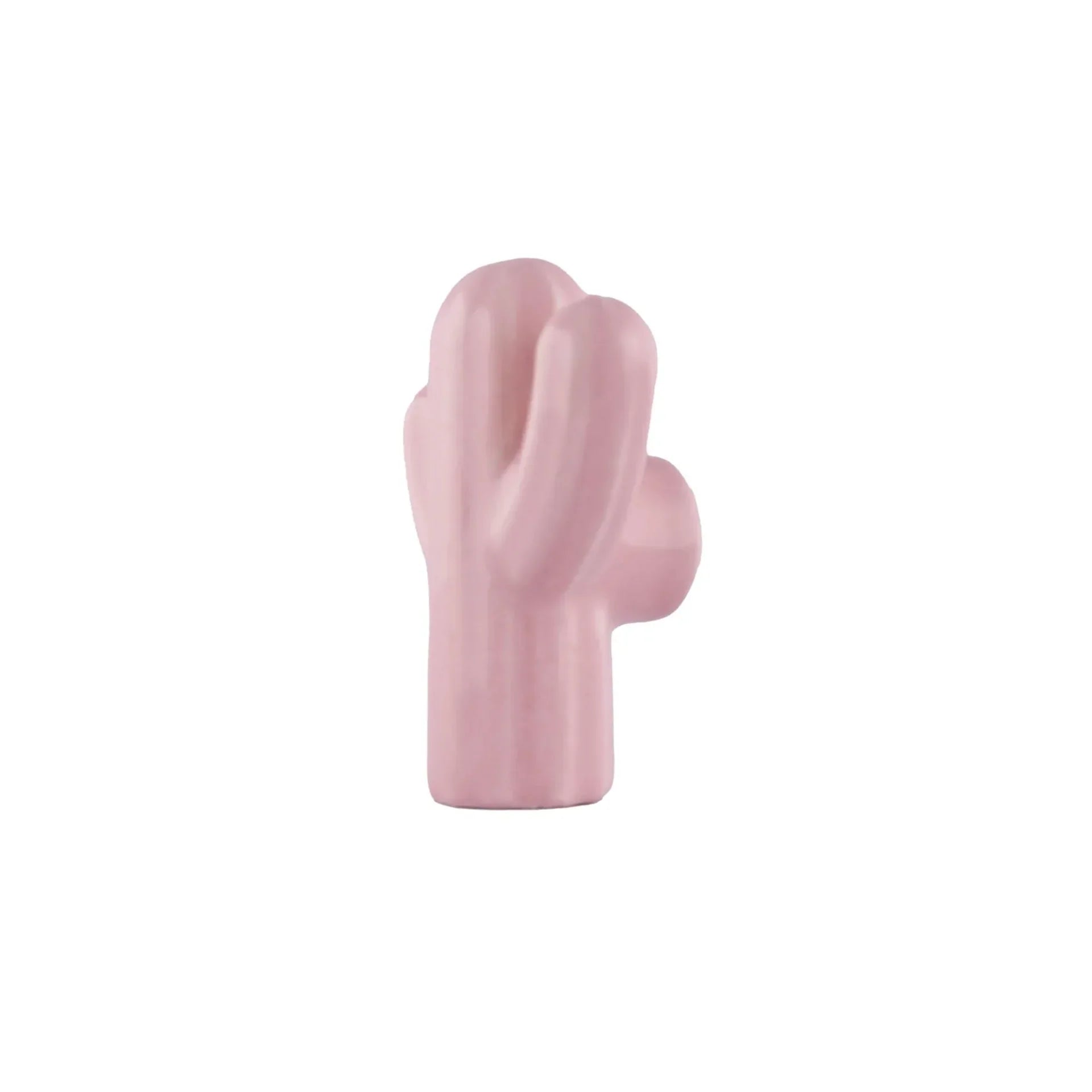 Ceramic Cactus Kids Cabinet Knob | Brass Essence