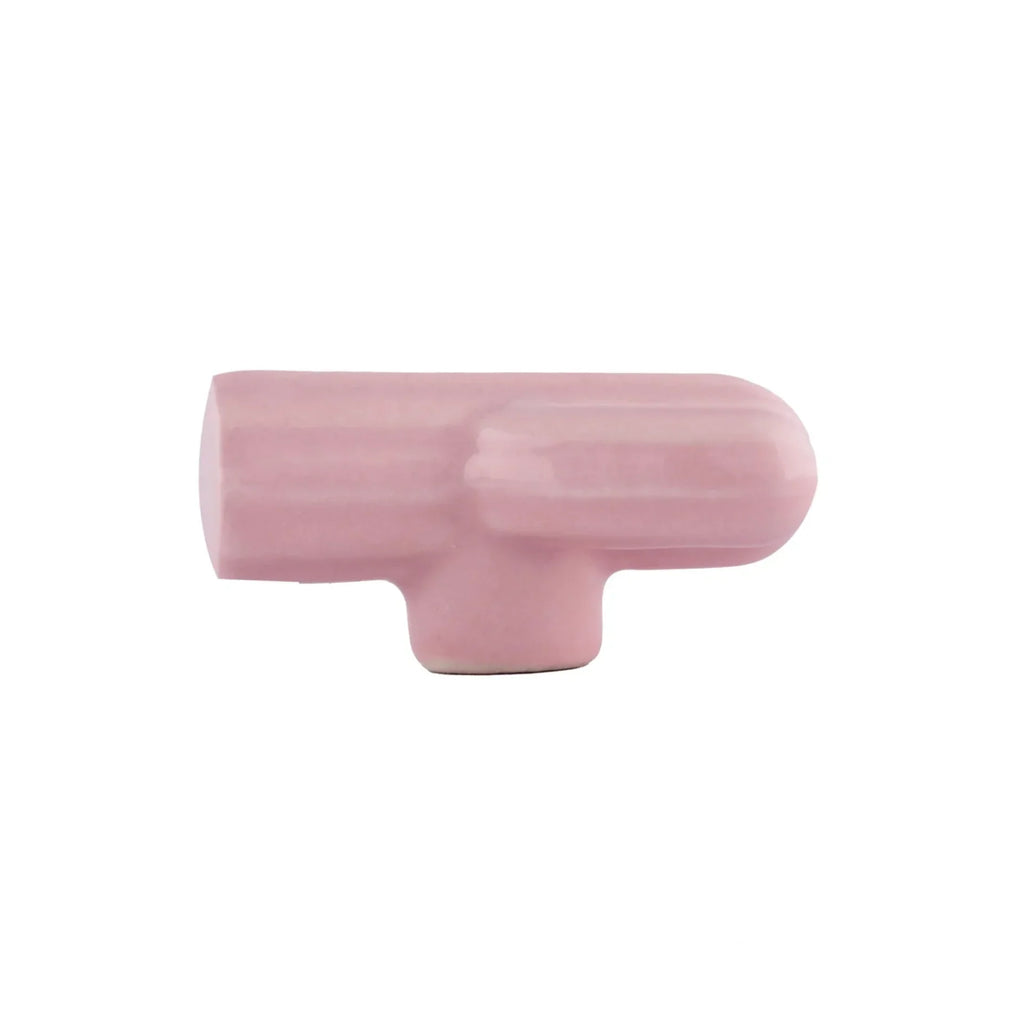 Ceramic Cactus Kids Cabinet Knob | Brass Essence
