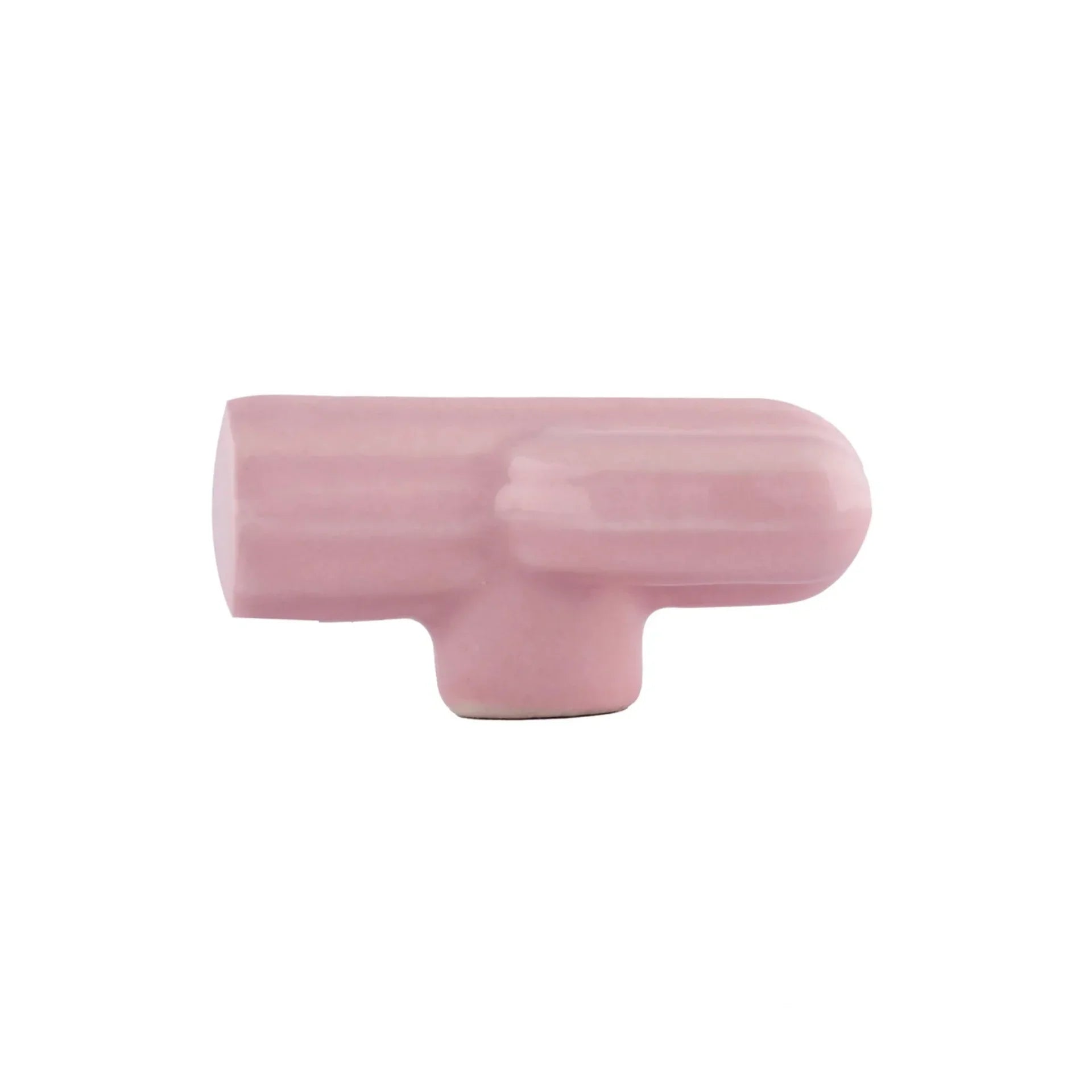 Ceramic Cactus Kids Cabinet Knob | Brass Essence